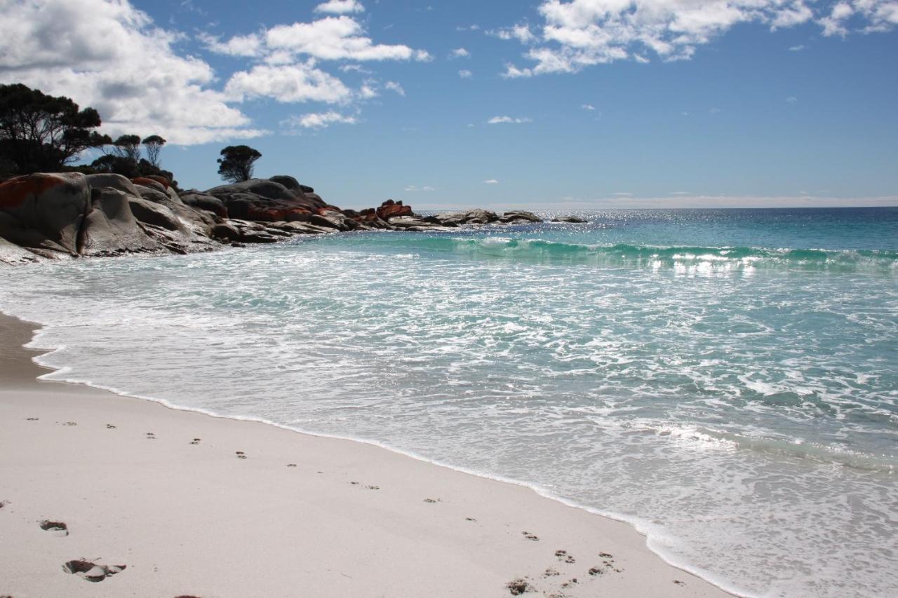 Binalong Beach Cottage Beachfront At Bay Of Fires Next To Restaurant Binalong Bay Ngoại thất bức ảnh